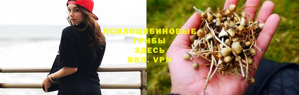 прущие крисы Беломорск