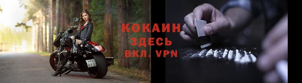 дживик Белоозёрский