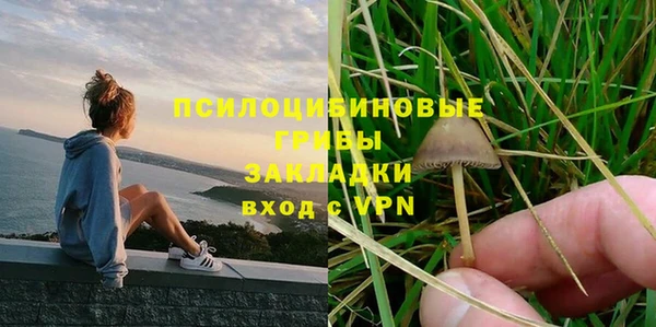 прущий лед Белокуриха