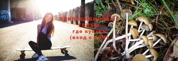 прущие крисы Беломорск