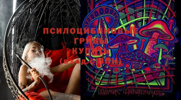 прущий лед Белокуриха