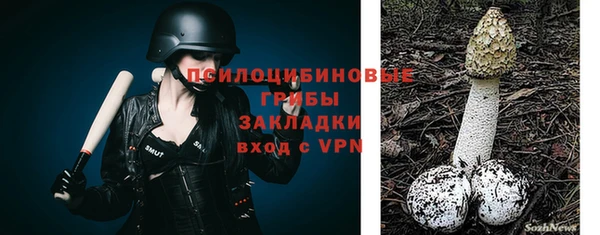 прущие крисы Беломорск