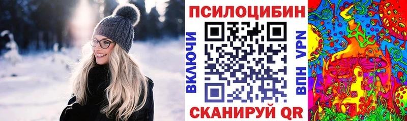 купить   Лыткарино  Псилоцибиновые грибы прущие грибы 