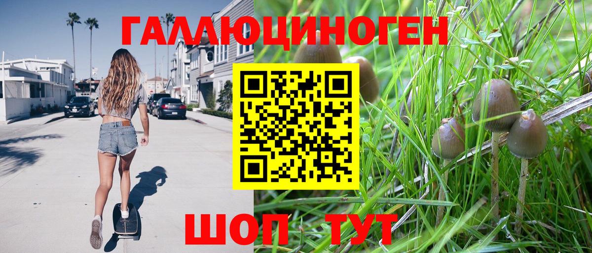 Галлюциногенные грибы мухоморы  Псилоцибиновые грибы Psilocybine cubensis  Вход с VPN  Лыткарино 
