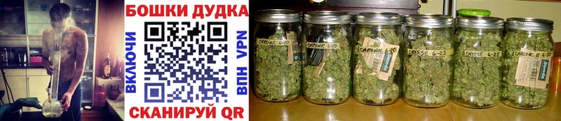 блэк спрут зеркало  купить наркотики сайты  Лыткарино  Бошки марихуана ГИДРОПОН 